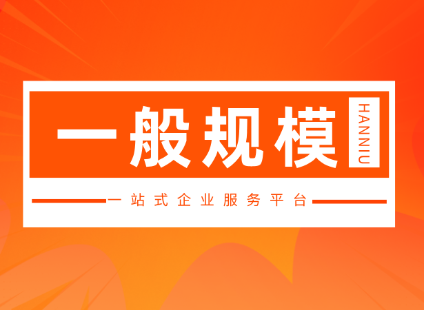 一般纳税人（D套餐）