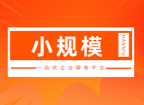 小规模纳税人（B套餐）