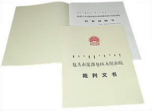 ***有限公司 ***有限公司